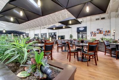 spash terrace dining area