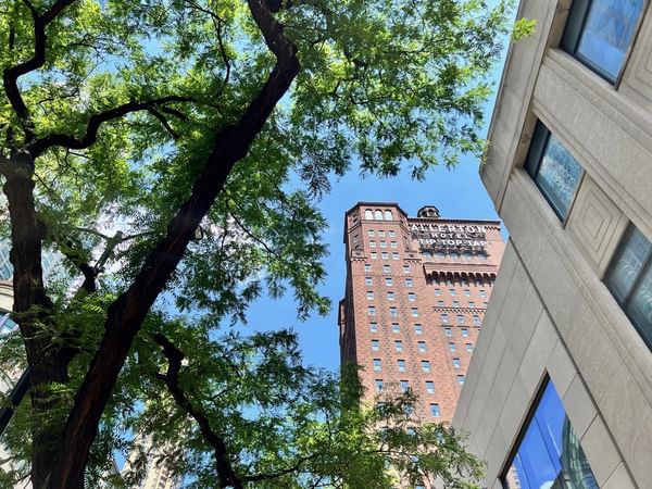 Warwick allerton chicago