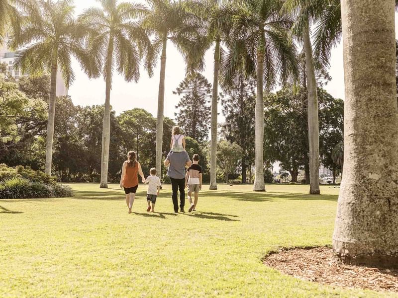 Family of four walking through City Botanic Gardens with tall palm trees on a sunny day near The Sebel Brisbane