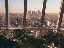 views from the sky garden