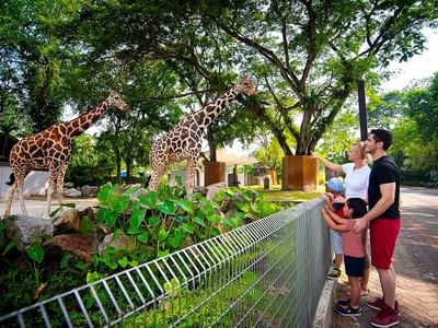 Zoo Negara close to Sunway Resort Hotel & Spa