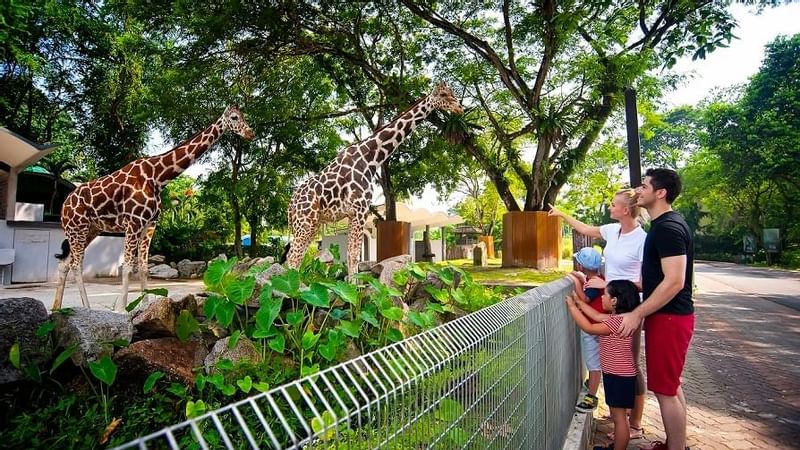 Zoo Negara close to Sunway Resort Hotel & Spa