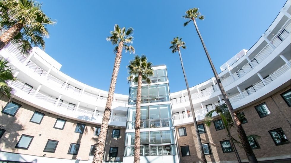 Tall palm trees in front of a modern building with glass balconies and windows