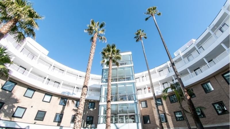 Tall palm trees in front of a modern building with glass balconies and windows