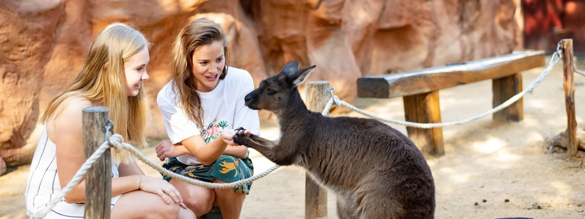 Two women petting a kangaroo at Sydney Zoo.