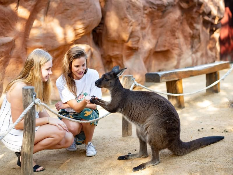 Two women petting a kangaroo at Sydney Zoo.