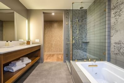 Hi-Lo hotel bathroom with walk in shower and tub
