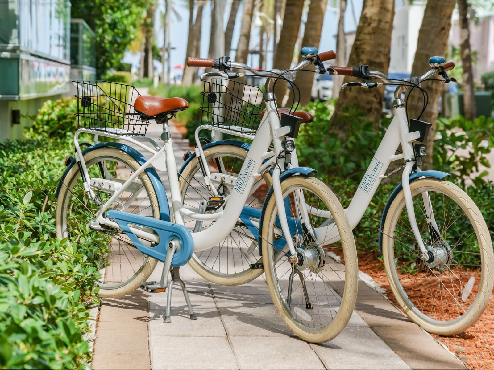 2 rentable bicycles parked on a track at Costa Beach Resort