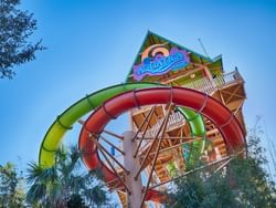 Low-angle view of Aquatica San Antonio near Rosen Inn Universal