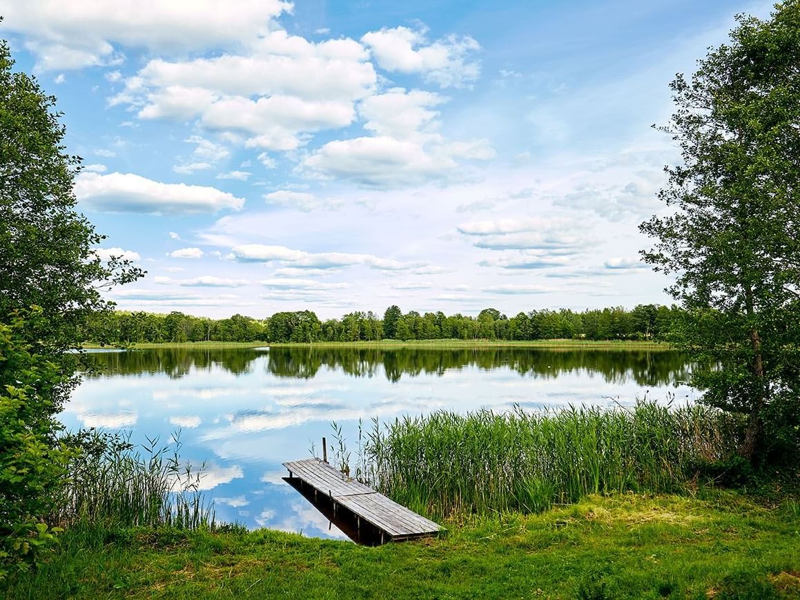 Landscape view of the river & forest near The Originals Hotels