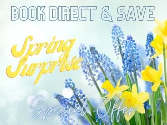 Gorse Hill Spring Surprise Offer image featuring lavender and daffodils