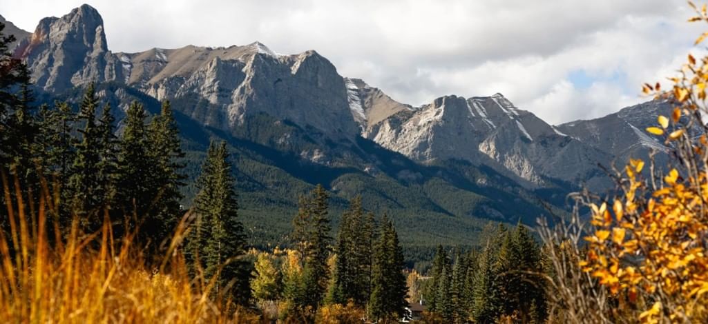 Views of the Canmore mountains with leaves changing colours on a fall day