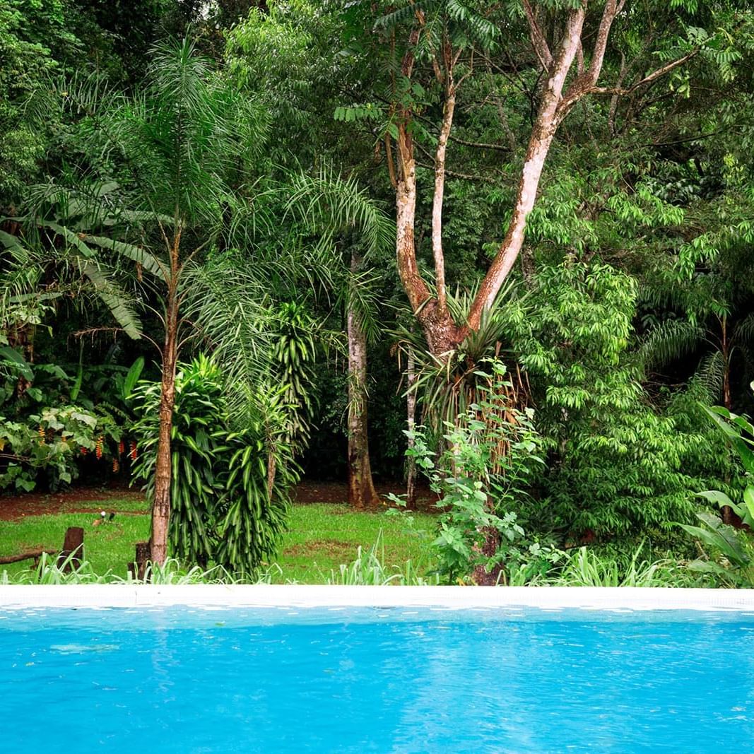 Outdoor pool with garden at La Cantera Lodge de Selva