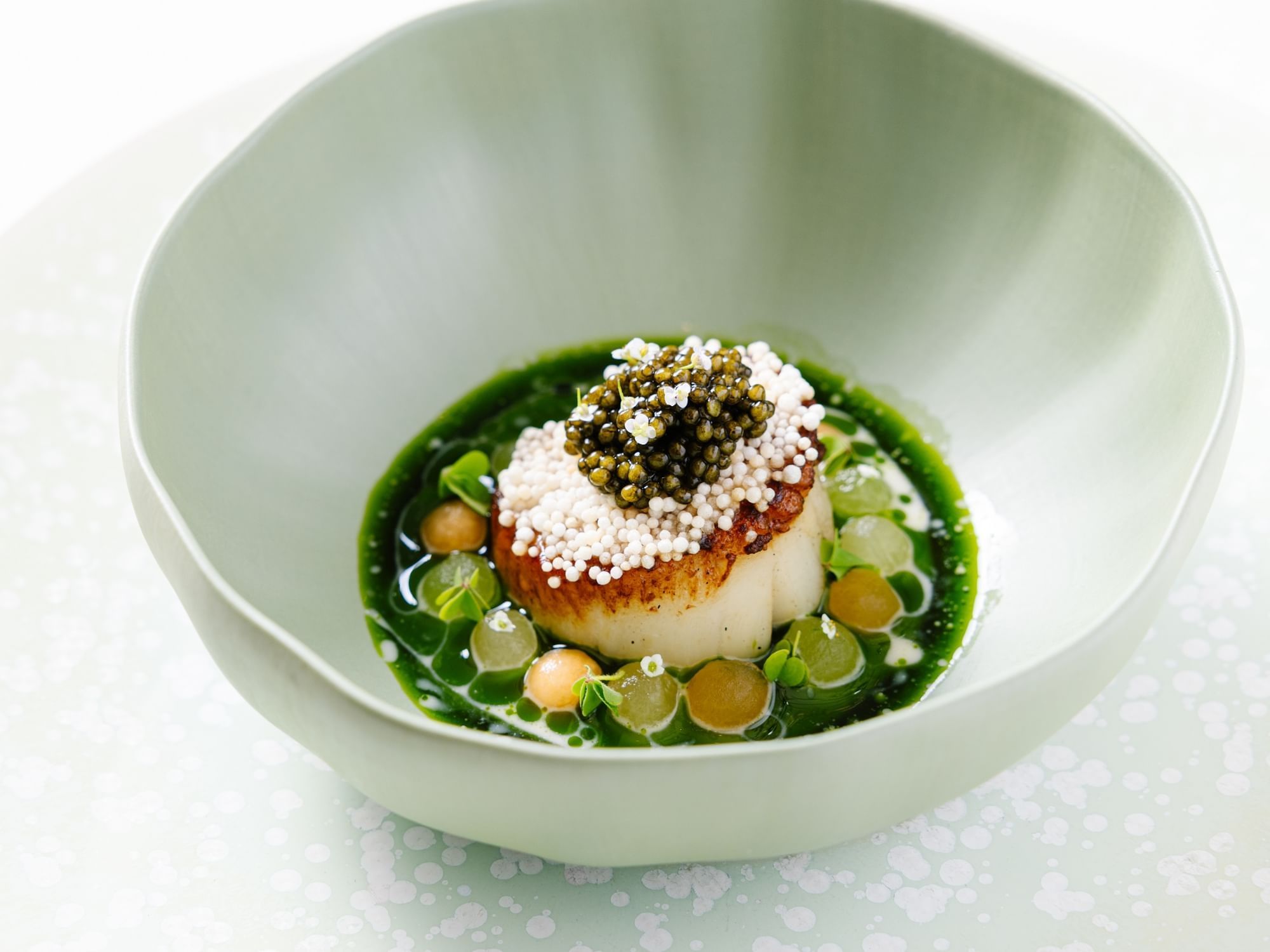 Close-up of a scallop dish served in Herons at The Umstead Hotel and Spa