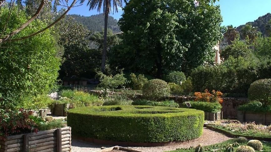 Plantas del jardin botanico