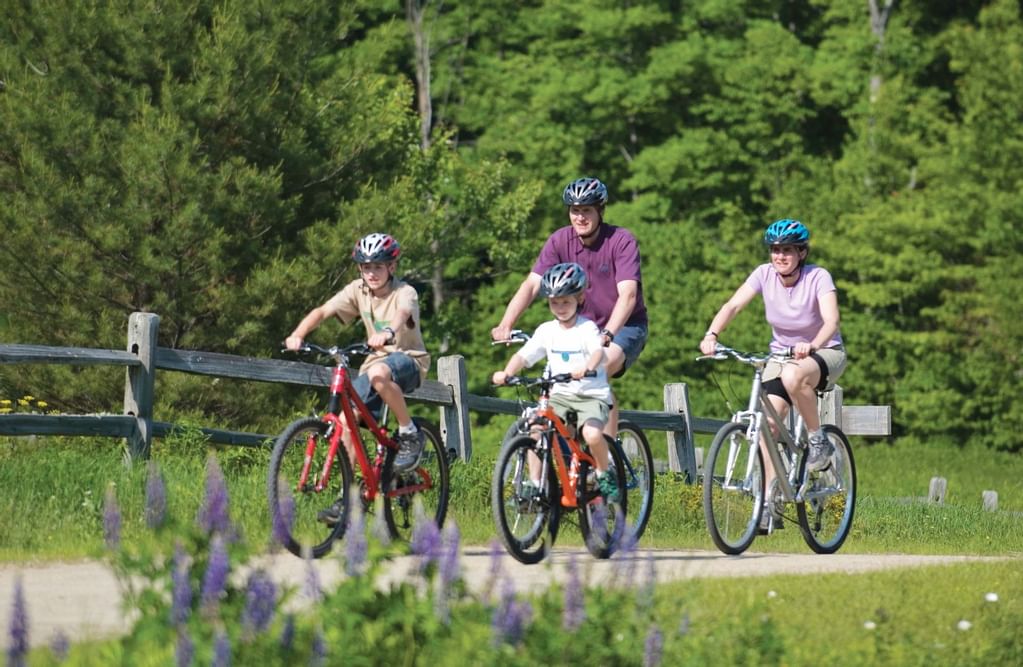 Things to Do in North Conway NH White Mountain Hotel & Resort