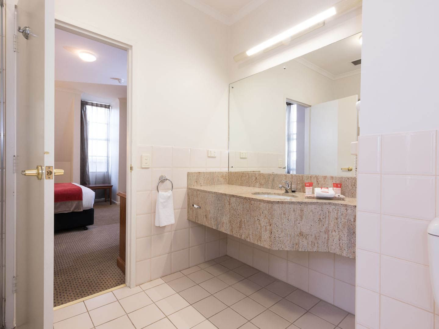 Bathroom vanity area in Deluxe Queen Room at Hotel Grand Chancellor