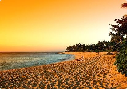 Waikiki Resort Hotel — photo 40 of 60
