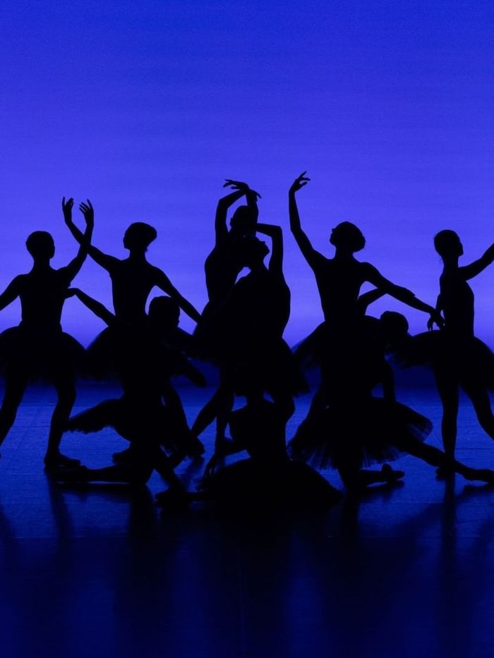 Silhouettes of ballerinas performing on stage with a blue background, evoking a sense of elegance and grace.