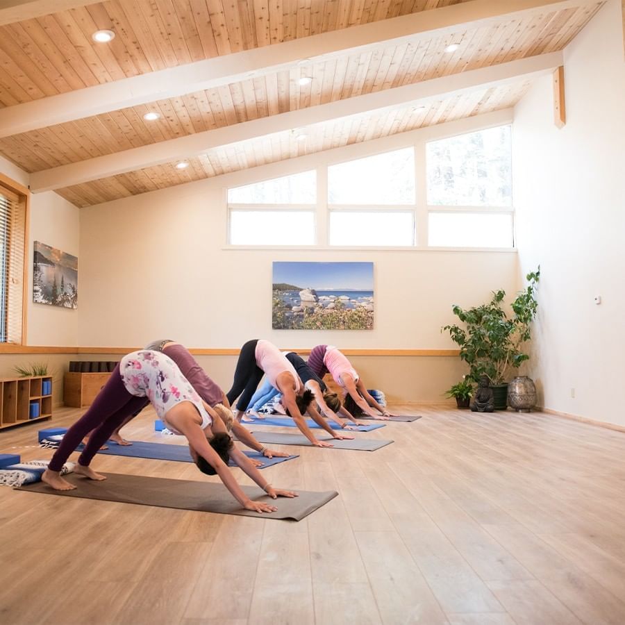 people performing downward facing dog yoga asana pose in the brightly sunlit Soul Shelter yoga room