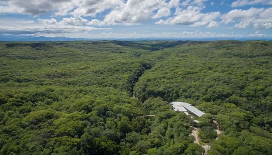 Aerial view of the forest & hotel near Hotel Rio Perdido