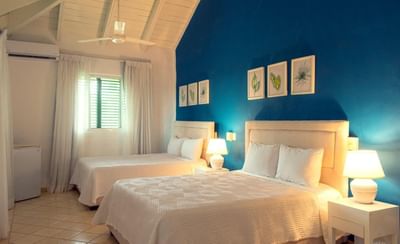 Bright Superior Room at La Casita by the Hub, a family friendly hotel, featuring two comfortable beds and blue accent wall