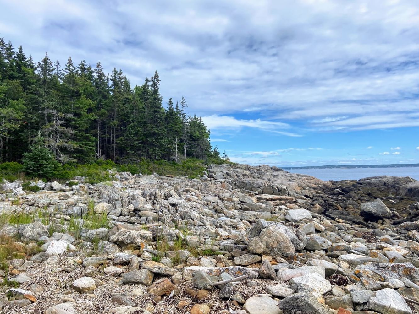 Natural Seawall with a skyline view at Reid State Park near Ogunquit Collection