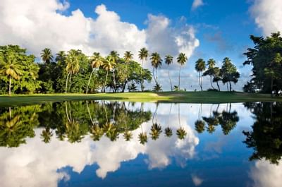 East Golf Course at Plantation Resort Residences
