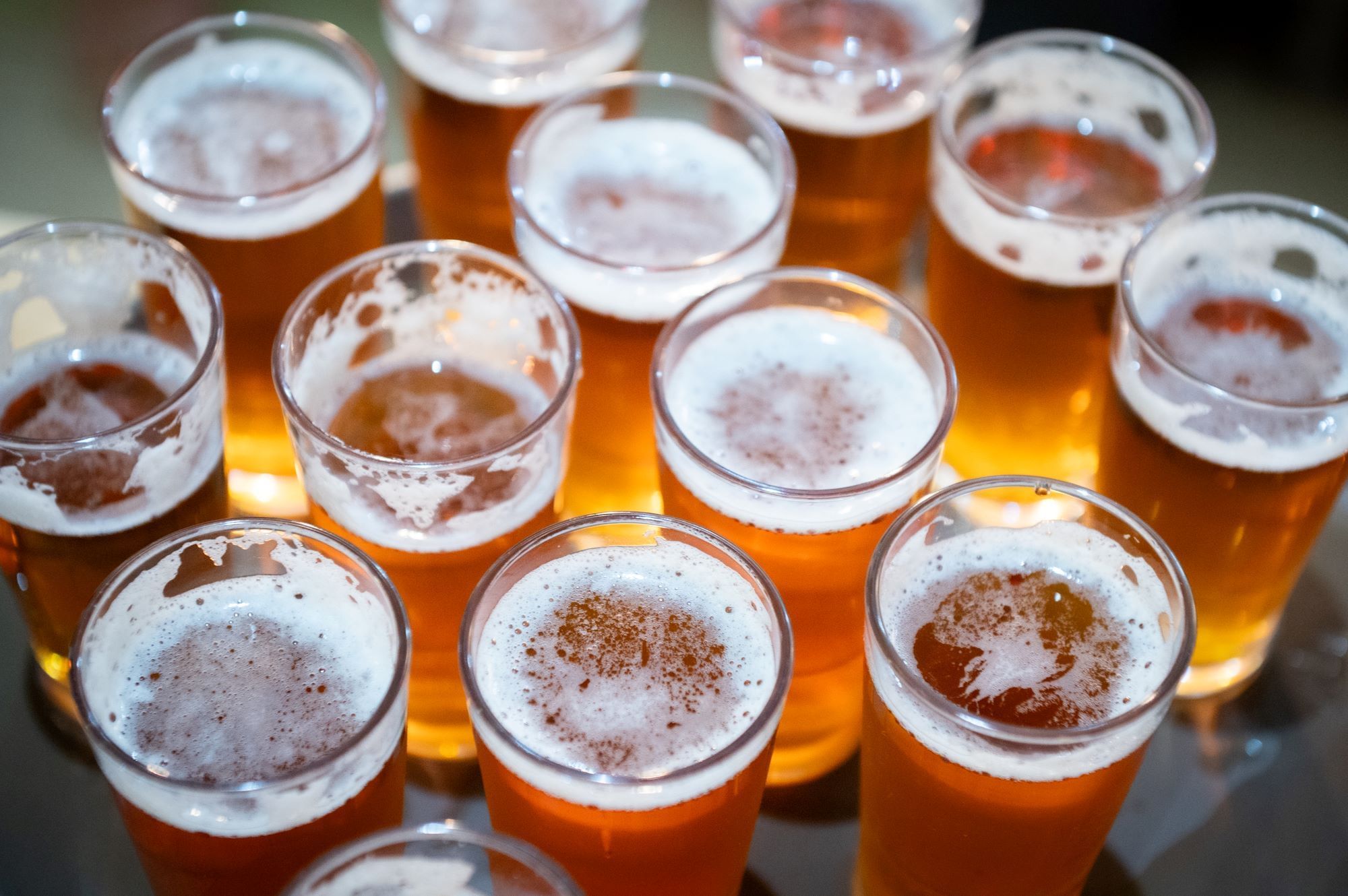 A dozen pint glasses filled with foaming beer arranged neatly together