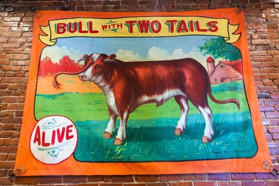 Banner on the brick wall at Retro Suites Hotel featuring the tale of Bull with 2 tails