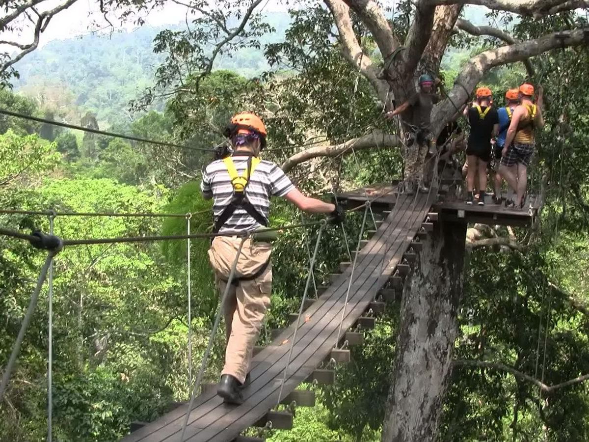 Hanging bridge in Flight of the Gibbon near U Hotels & Resorts