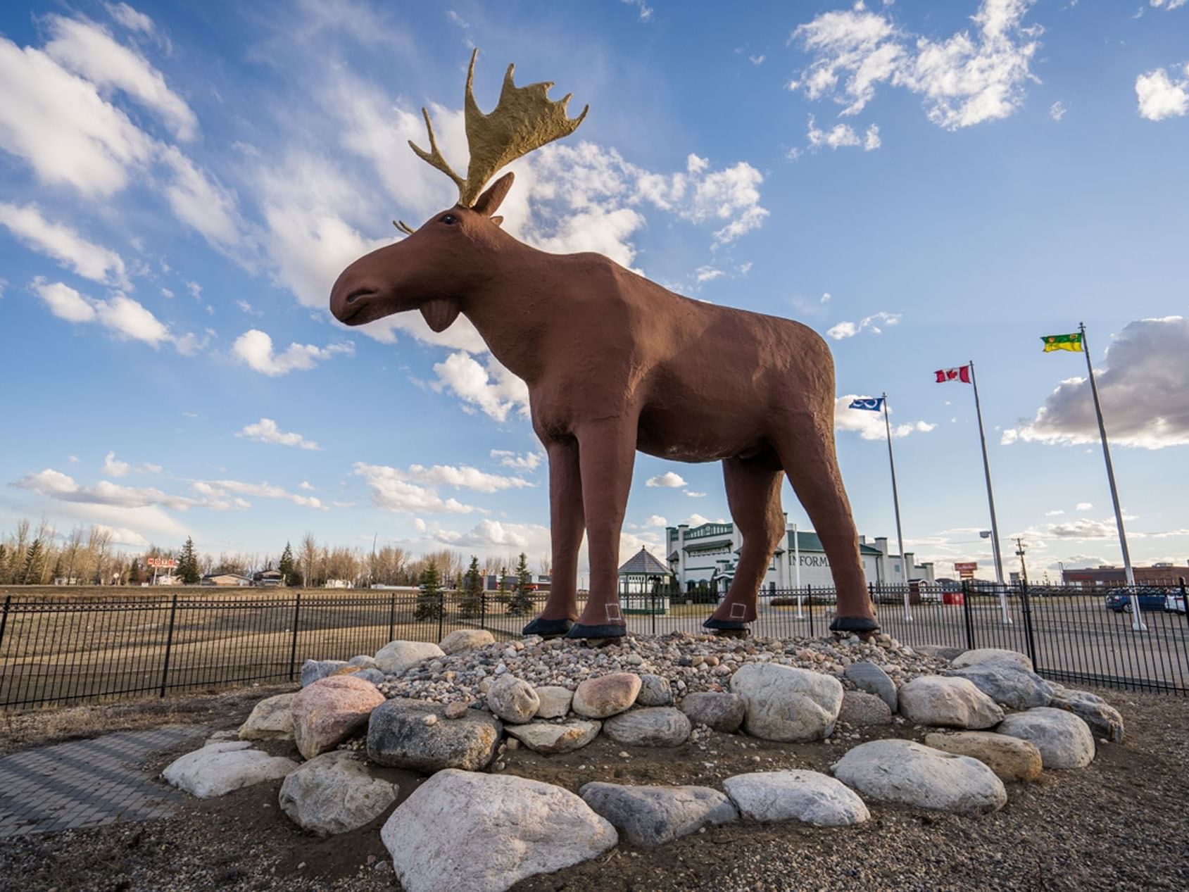 Low-angle view of Mac the Moose near Temple Gardens Hotel & Spa