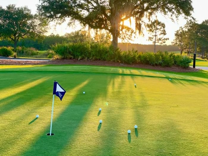Camp Creek golf course putting green at sunset