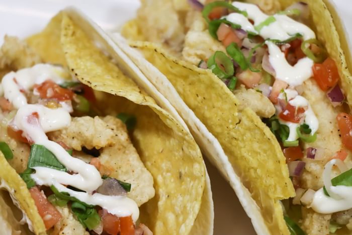 Fish tacos served in Harbour City Bar at Hotel Halifax