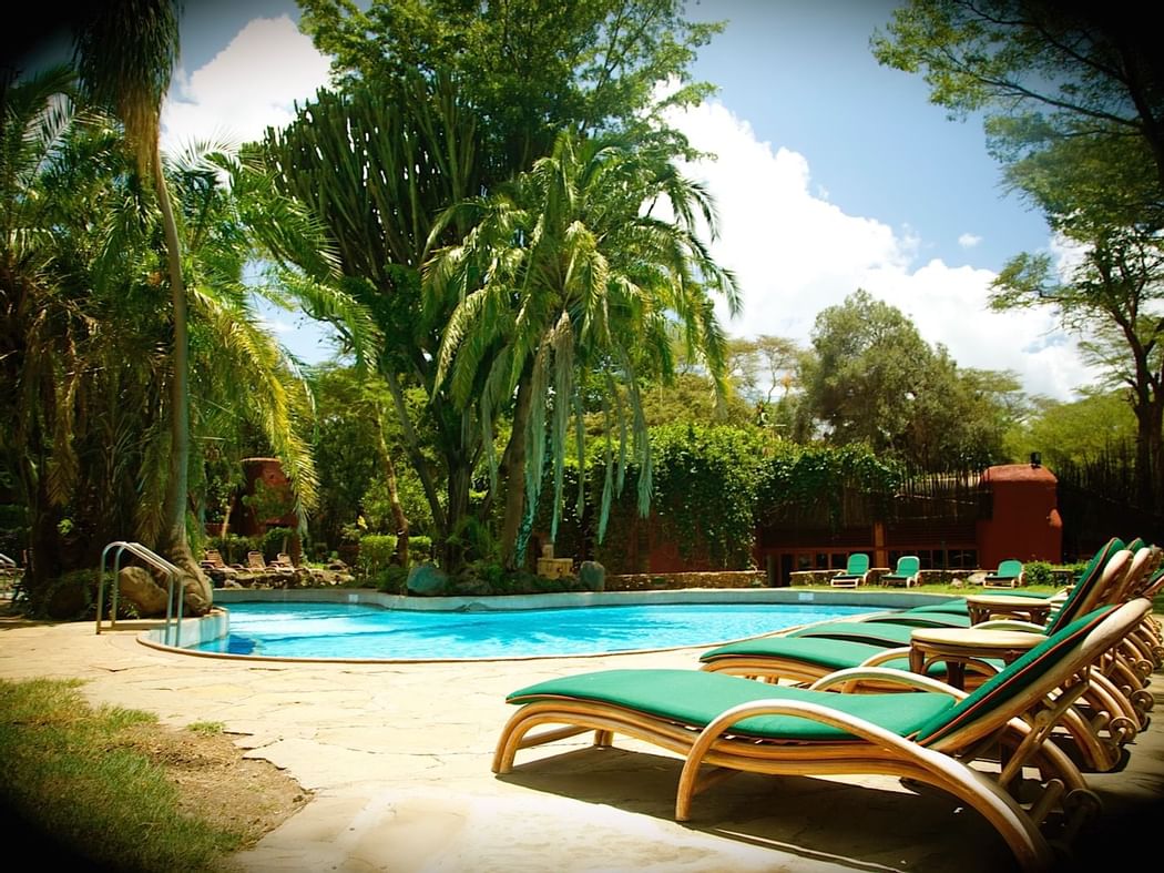 Sunbeds by the pool at Amboseli Serena Safari Lodge
