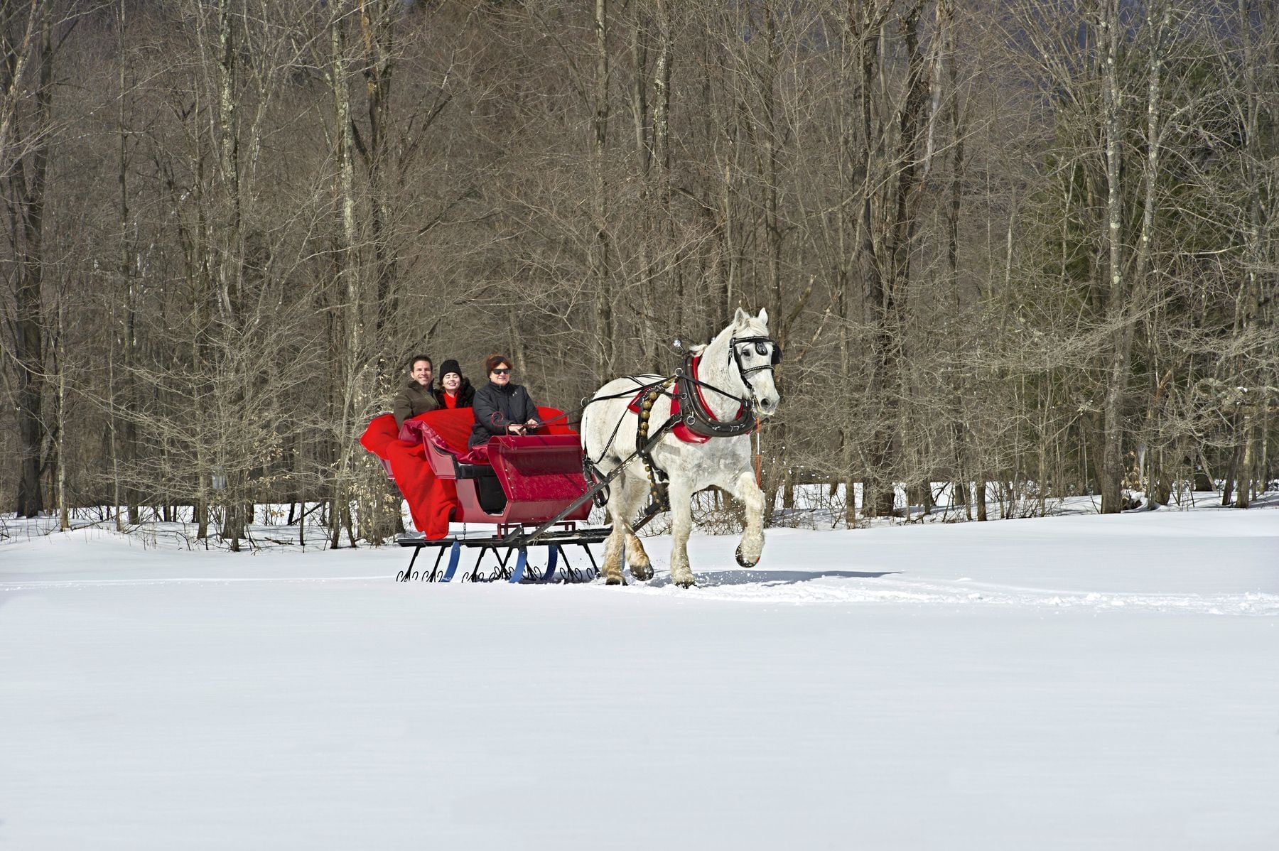 Three people on a sleigh ride near Topnotch Stowe Resort
