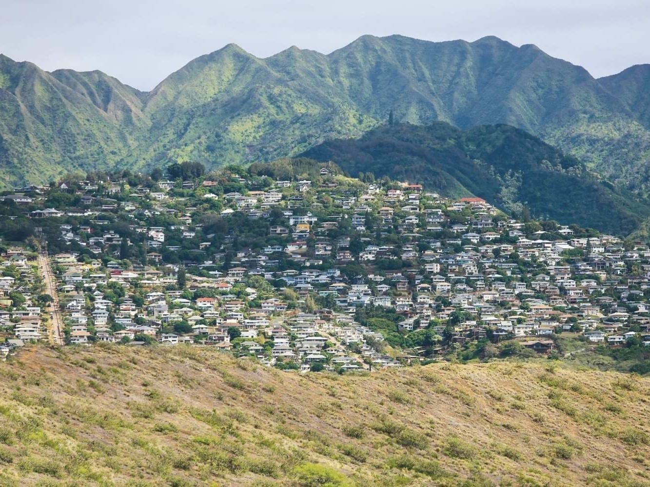 Exploring Quaint Kaimuki Neighborhood Guide