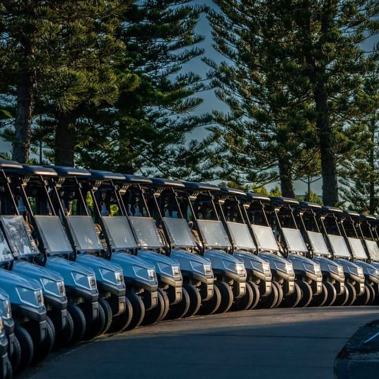 Golf Carts lined up in Magenta Golf Club near Pullman Magenta Shores