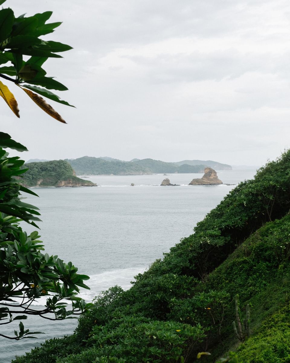 Scenic coastal view of rocky islands and green cliffs overlooking the Pacific near Morgan\'s Rock Reserve & Ecolodge