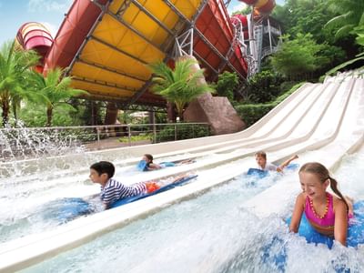 Four children riding boogie boards on a multi-lane waterslide at Sunway Velocity Hotel