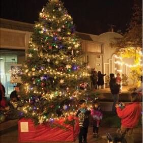 Two children having their photo taken in front of a tall decorated tree containing lights and ornaments