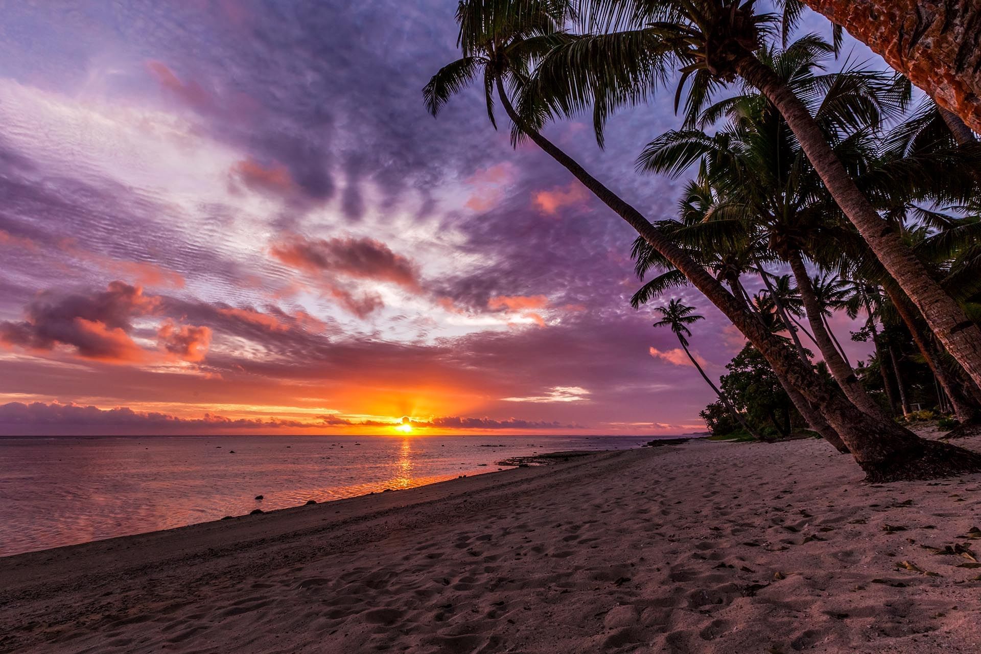 Purple and orange sunset over a sandy beach by leaning palm trees and a calm sea at Tambua Sands Beach Resort