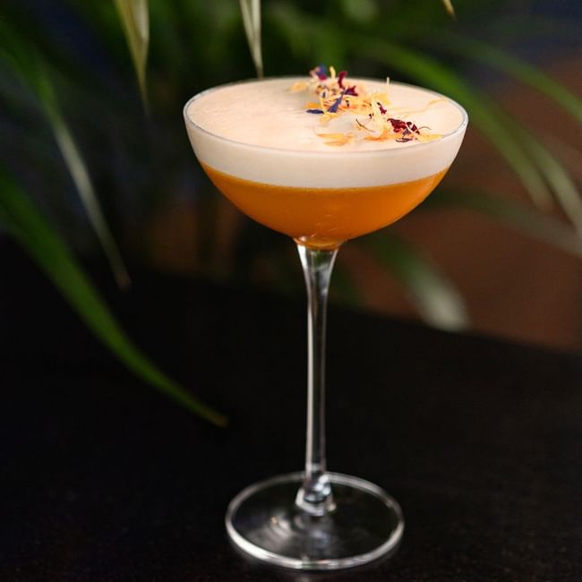 Bacar Summer Beverage menu