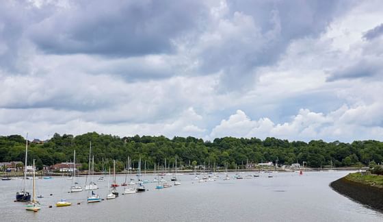 Boats docked in Medway river near Bridgewood Manor Hotel