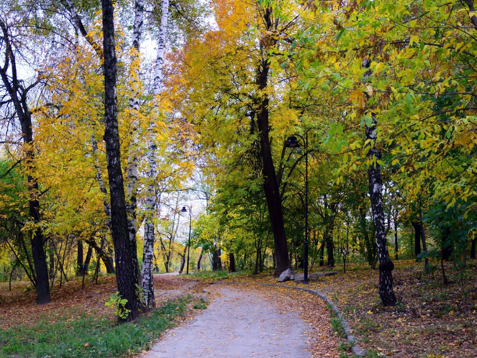 Autumn Walkways in the Tangamanga park in San Luis Potosi city