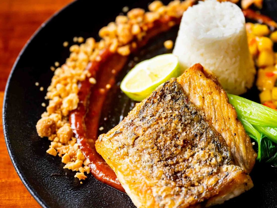 Crispy Skin Barramundi served, Pullman Palm Cove Sea Resort