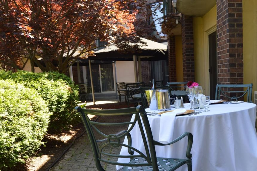 dine table in the garden with trees at Inn of Waterloo 
