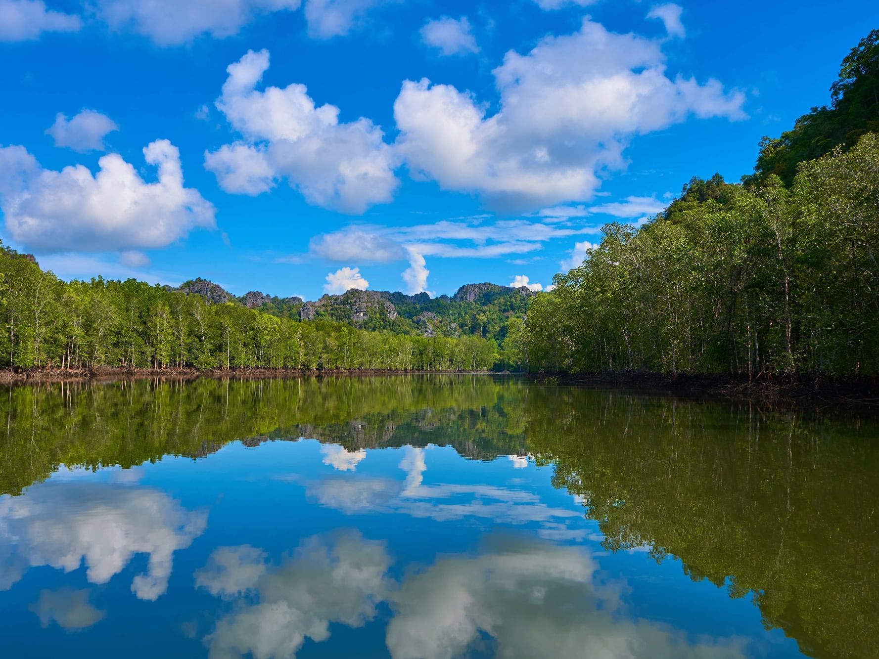 View of Mangrove Rainforest near Tanjung Rhu Resort Langkawi