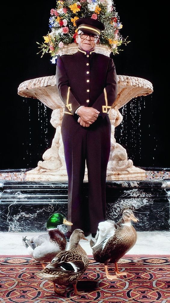Mr. Pembroke and ducks