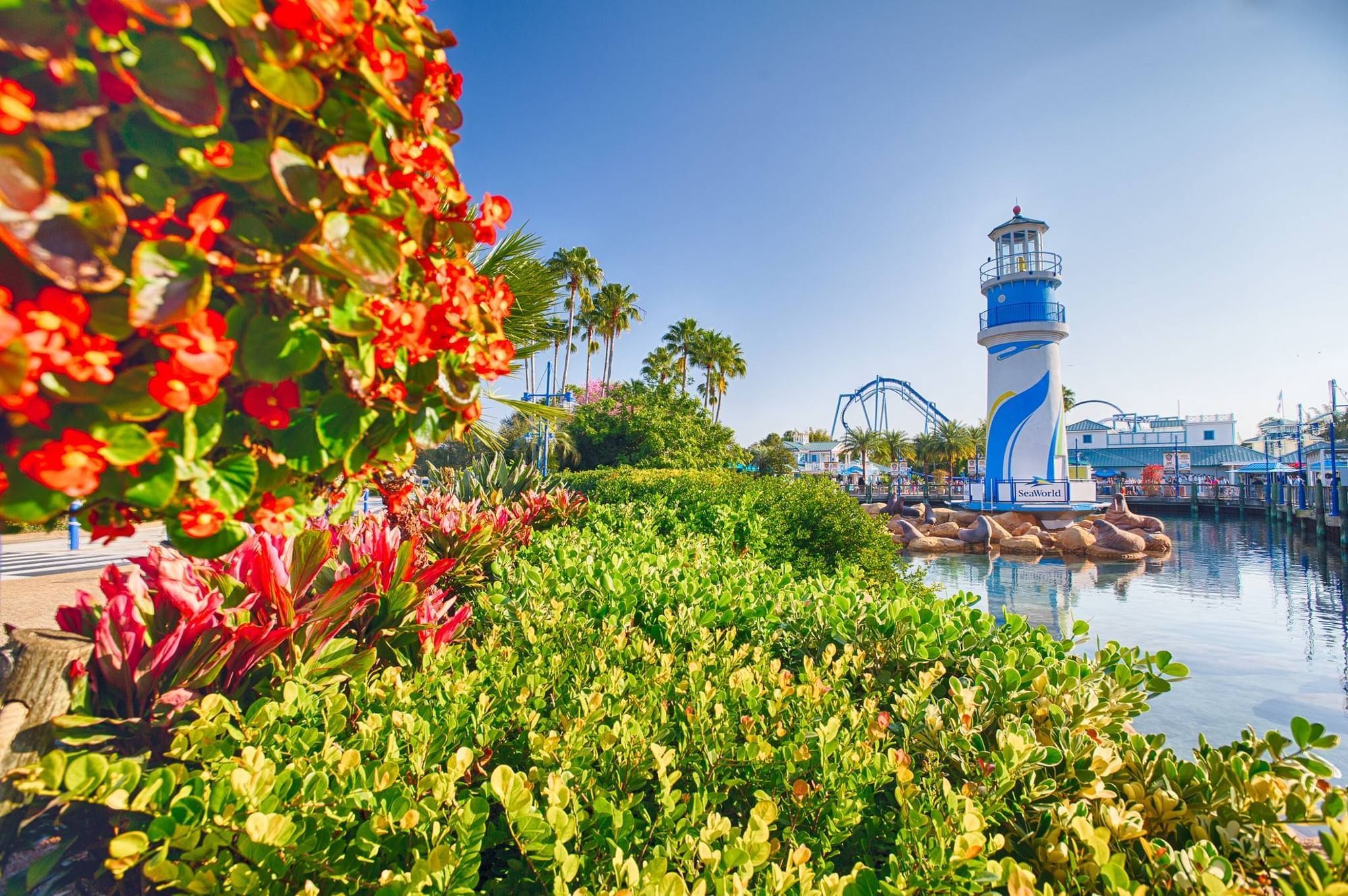 SeaWorld Orlando, home to the SeaWorld Summer Spectacular